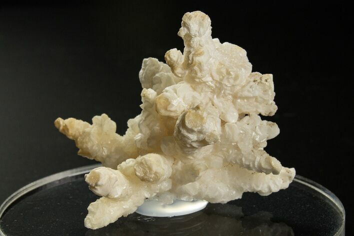 Intricate, Fluorescent Aragonite Formation - Nevada #327491